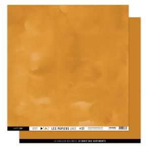 Frorilèges karton papiers design FDPU320001 ambre orange bronce no 21 nr, 21