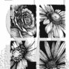 TH-CMS462 SA - Tim Holtz Cling Stamp Bold Botanicals stempel stempler blomster roser margueritter