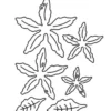 135059 Barto Design Dies Poinsettia blomst julestjerne