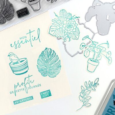 FDCLD11802 Florilèges Design combo Soft & Green clearstamp die stempel stempler planter potteplanter monstera bladgrene