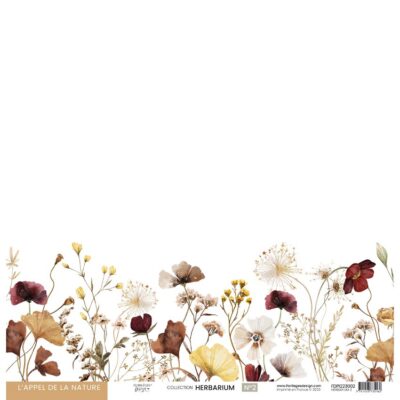 FDPI223002 Florilèges Design design papir Hebarium 2 blomster karton papir 30x30