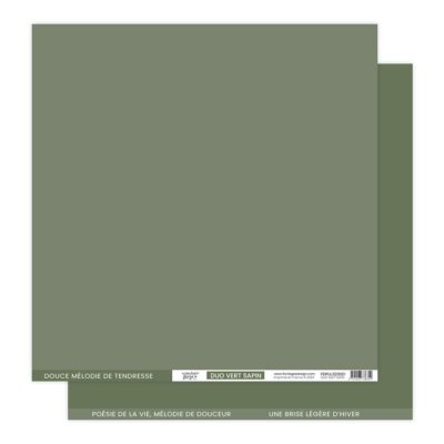 FDPU323001 Florilèges Design karton Papier Uni Duo Vert Sapin karton papir mørkegrønt grangrønt julegrøn