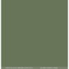 FDPU323001 Florilèges Design karton Papier Uni Duo Vert Sapin karton papir mørkegrønt grangrønt julegrøn