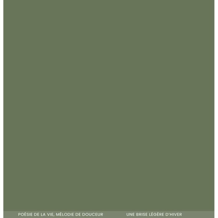 FDPU323001 Florilèges Design karton Papier Uni Duo Vert Sapin karton papir mørkegrønt grangrønt julegrøn