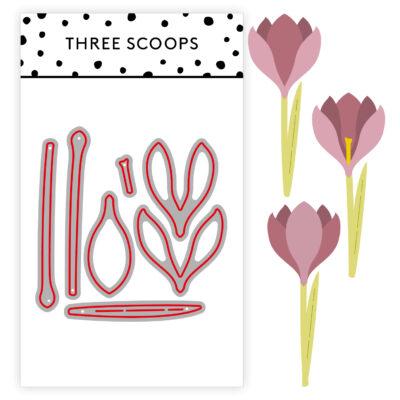 TSCD0344 Three Scoops Krokus die blomster forårsblomster crocus