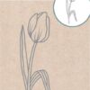 CDECD0145 Card Deco dies Tulip Tulipan Forårsblomster
