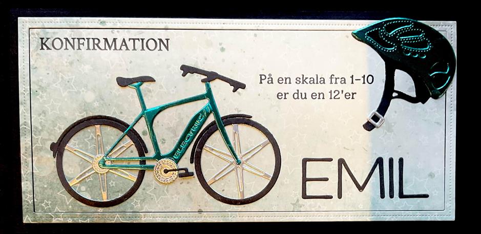 BLD1649 By Lene dies Electric Bike el-cykel el cykel