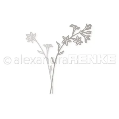 D-AR-FL0307 Alexandra Renke die Small Calyx Flowers blomster