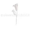 D-AR-FL0309 Alexandra Renke die Big Calyx Flowers store blomster bladgrene