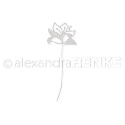D-AR-FL0314 Alexandra Renke die Wonder Lotus blomster