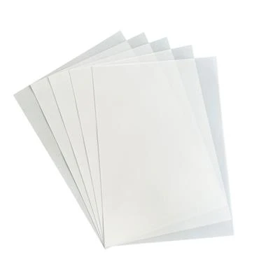 PFSS901 Paper Favourites Heavy Vellum Paper Vintage White transparent karton papir gennemsigtigt