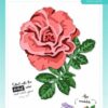 SL-ES-CD810 Studio Light dies Layered Rose & Leaves blomster roser lag på lag