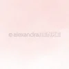 10.3031 Alexandra Renke Design Paper Flurry Petals Light Pink blomsterblade karton papir lyserød rosa