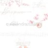 10.2704 Alexandra Renke Design Paper Peach Precious karton papir fersken ferskner tekster