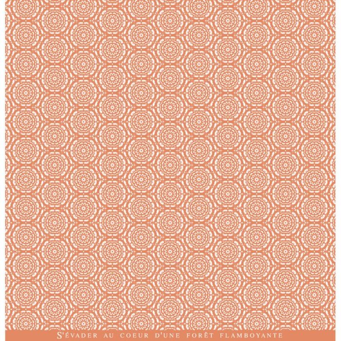 FDPI322007 Florilèges Design Imprimé Arizona 7 karton papir orange brændte farver die-cuts